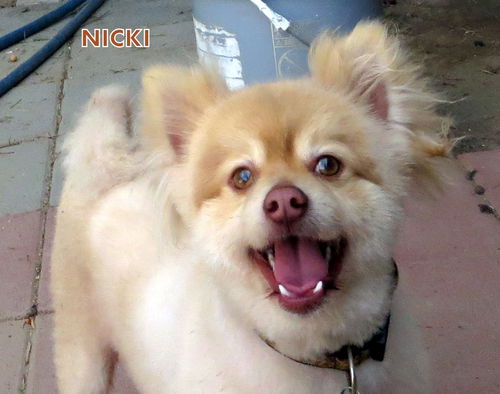 Nicki (Ritzy)