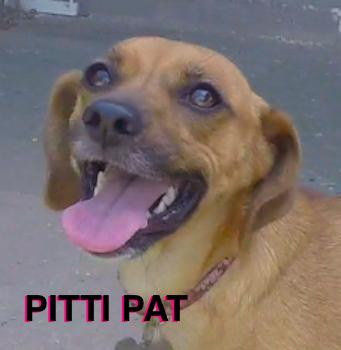 Pitti Pat