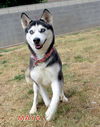 Maya (Ritzy)