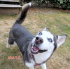 Maya (Ritzy)
