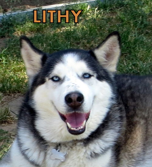 Lithy (Ritzy)