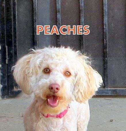 Peaches