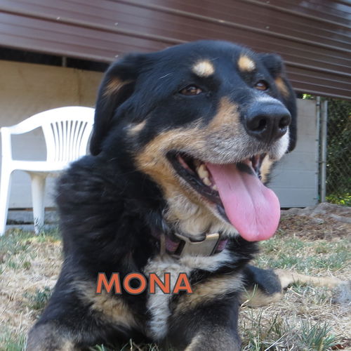 Mona