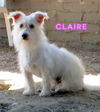 Claire (Ritzy)