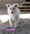 Claire (Ritzy)