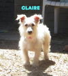 Claire (Ritzy)