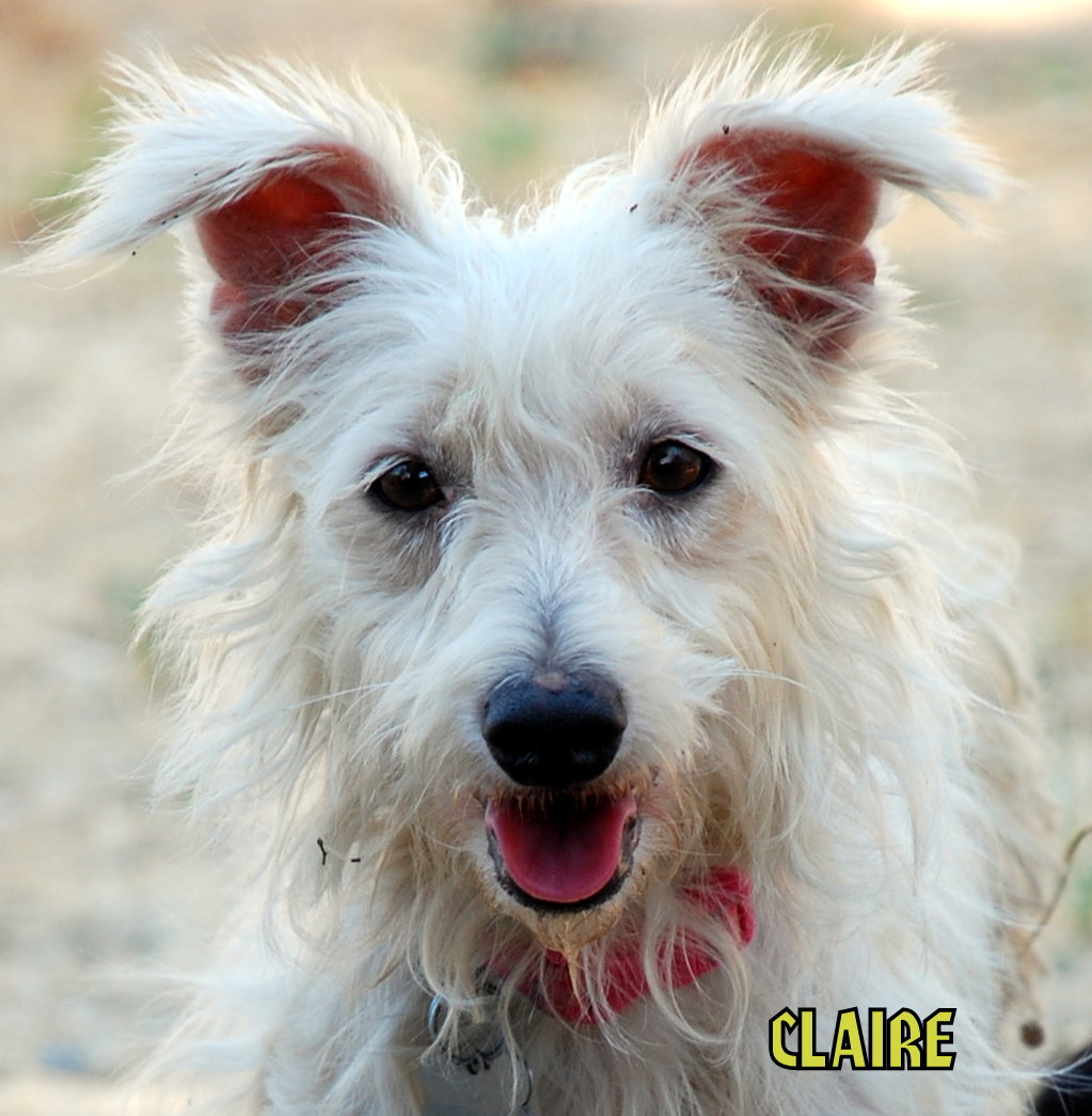 Claire (Ritzy)'s Web Page