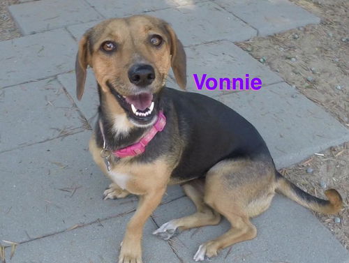 Vonnie