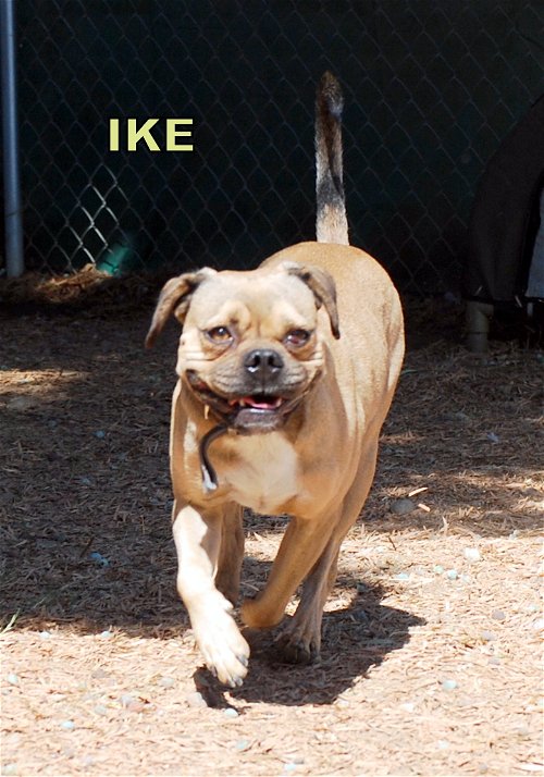 Ike