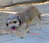 Mateo