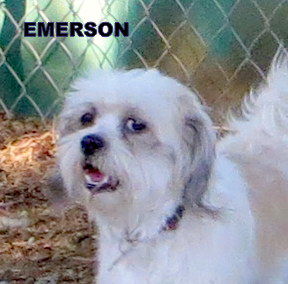 Emerson (Ritzy)