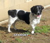 Starsky