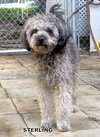 Sterling (Ritzy)