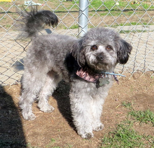 Sterling (Ritzy)