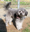 Sterling (Ritzy)