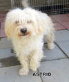 Astrid (Ritzy)