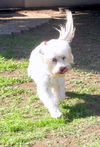 Astrid (Ritzy)