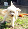 Astrid (Ritzy)