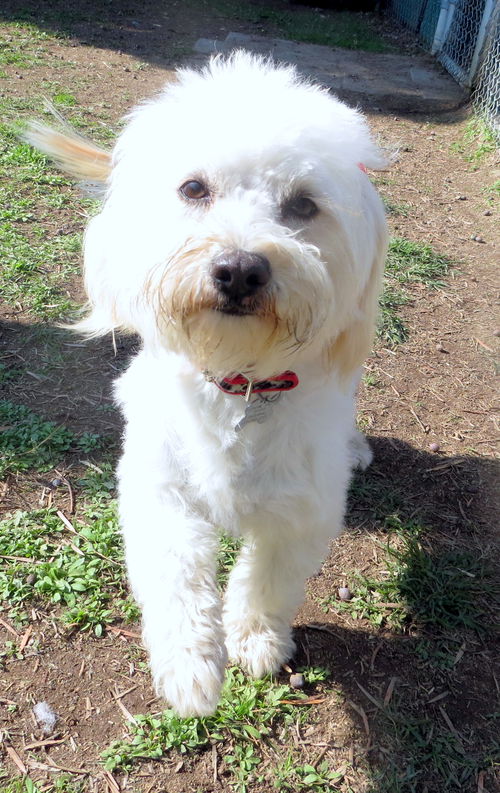 Astrid (Ritzy)