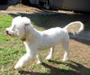 Astrid (Ritzy)