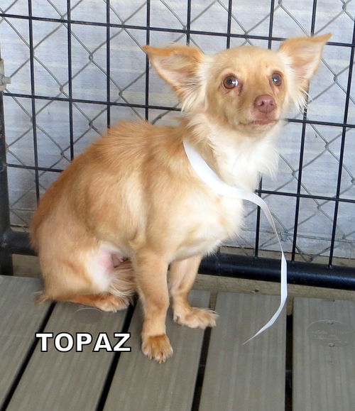 Topaz