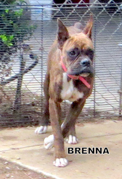 Brenna (Ritzy)