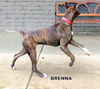 Brenna (Ritzy)