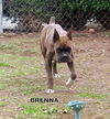 Brenna (Ritzy)