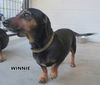 Winnie (Ritzy)