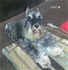Jack (Ritzy)