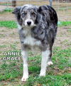 Annie Grace (Ritzy)