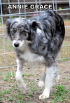 Annie Grace (Ritzy)