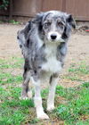 Annie Grace (Ritzy)