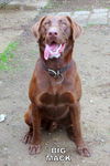 Big Mack (Ritzy)