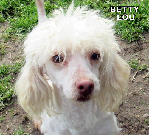 Betty Lou (Ritzy)