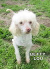 Betty Lou (Ritzy)