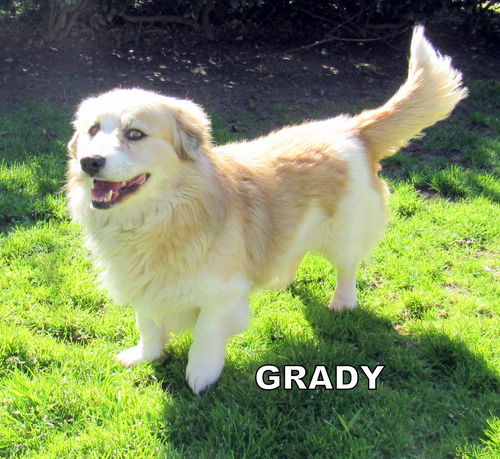 Grady