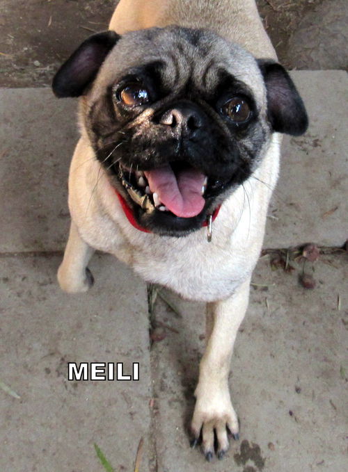 Meili (Ritzy)
