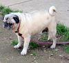Maxine (Ritzy)