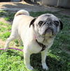 Maxine (Ritzy)