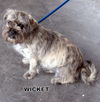 Wicket