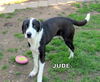 Jude