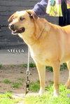 Stella and Friday