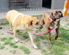 Stella and Friday