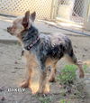 Bixby (Ritzy)