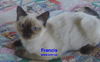Francis