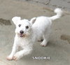 Snookie (Ritzy)