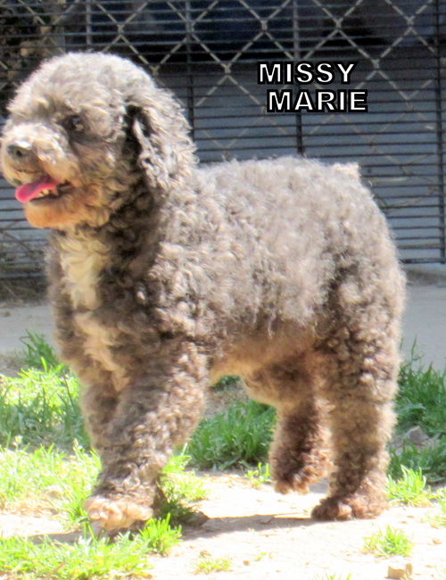 Missy Marie (Ritzy)