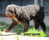 Missy Marie (Ritzy)