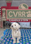 Charleston (Ritzy)